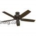 Hunter Fan Company 53336 Casual Donegan Onyx Bengal Ceiling Fan with Light  52" - B01CDFYT3I